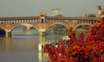 Cosa fare a Pavia e provincia: gli eventi del weekend (4 - 5 novembre 2023)