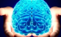 Si è aperta la Mondino Neuro Week: approfondimenti e confronti su cura, ricerca e futuro delle neuroscienze 