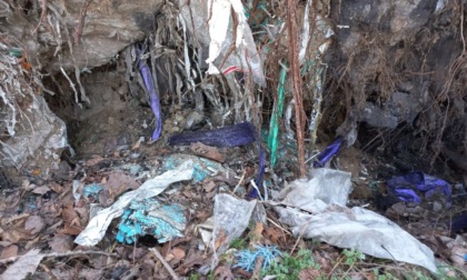Scoperti rifiuti pericolosi interrati in un'area boschiva di 4.500 metri quadrati