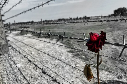 Giorno della Memoria, all’Università di Pavia una serata contro le discriminazioni