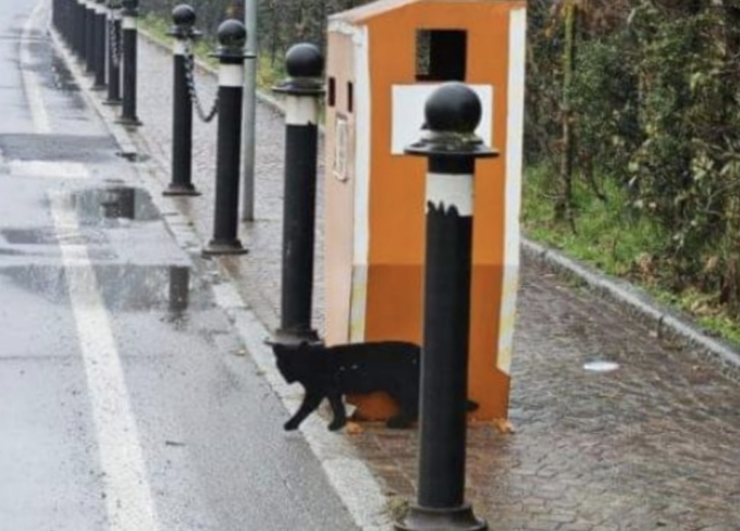 Finto autovelox con gatto nero di metallo confonde gli automobilisti e scoppia la polemica