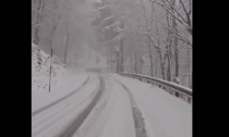 Abbondante neve in Oltrepò Pavese, caduti 15-20 centimetri di manto bianco