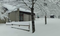 Abbondante neve in Oltrepò Pavese, caduti fino a 80 centimetri di manto bianco