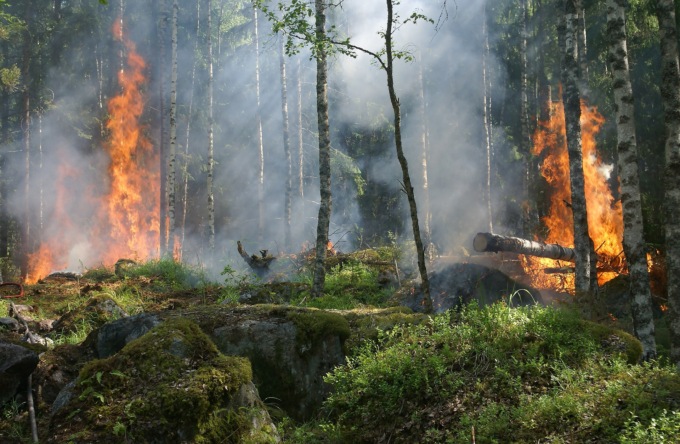 Allerta gialla in Oltrepò Pavese per rischio incendi boschivi