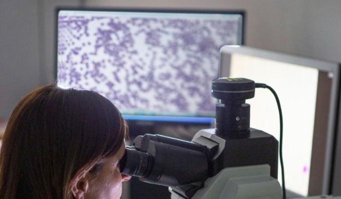 Immunoterapia pre-chirurgica contro il cancro della tiroide, a Pavia nuovo approccio terapeutico