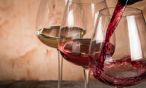 I vini dell'Oltrepò Pavese protagonisti al Vinitaly 2024 e a “La settimana delle enoteche”