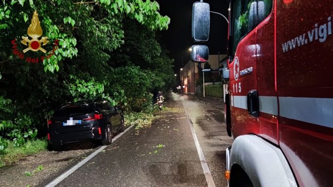 Nubifragio nella notte a Pavia, albero cade su alcune vetture