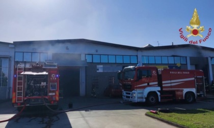 Incendio in azienda a Pavia, Vigili del Fuoco al lavoro