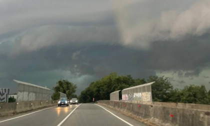 Temporali e forte vento a Pavia e provincia: allagamenti e diversi alberi caduti