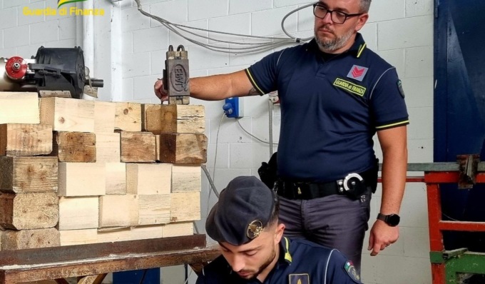 Scoperta fabbrica di bancali in legno contraffatti: sequestrati due capannoni, oltre 4.300 pallet e 170 tonnellate di legname