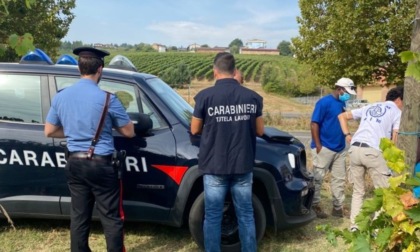 Caporalato nelle aziende agricole, 11 lavoratori in nero e 5 titolari denunciati