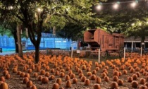 Al Villaggio delle Zucche di San Martino Siccomario arriva il Pumpkin Beer Fest