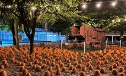 Al Villaggio delle Zucche di San Martino Siccomario arriva il Pumpkin Beer Fest