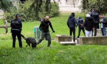 Controlli in stazione a Voghera, l'unità cinofila "Ultimo" scova droga e un coltello