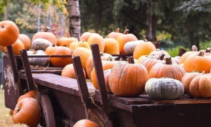 A caccia di zucche, tesori e dolcezze: il primo e il terzo fine settimana di Ottobre appuntamento al Villaggio delle Zucche