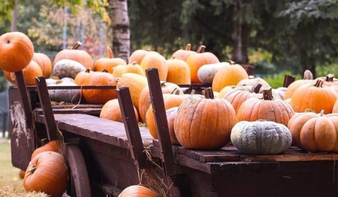 A caccia di zucche, tesori e dolcezze: il primo e il terzo fine settimana di Ottobre appuntamento al Villaggio delle Zucche