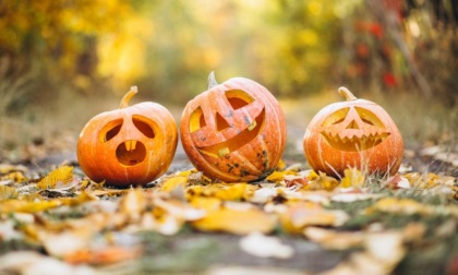 Cosa fare ad Halloween con i bambini a Pavia e Provincia: gli eventi 2024