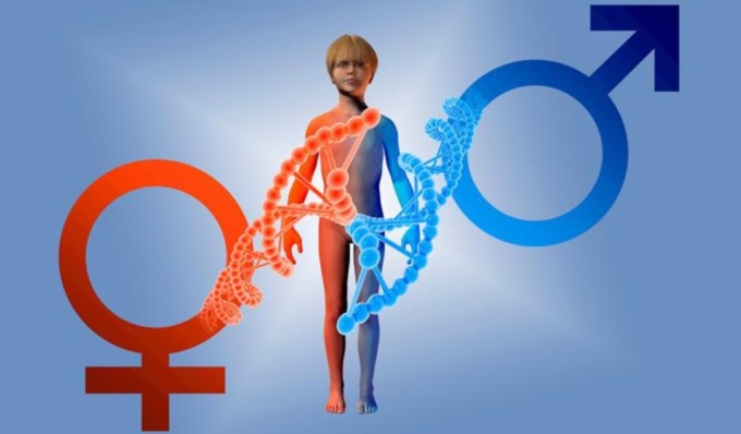 Medicina di Genere, se ne parla al San Matteo di Pavia il 15 novembre