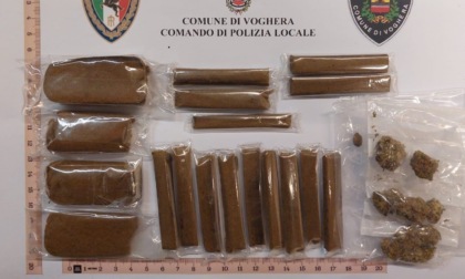 Controlli a Voghera, il cane "Ultimo" scova un contenitore contenente hashish