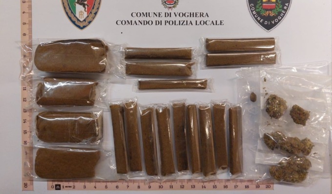 Controlli a Voghera, il cane “Ultimo” scova un contenitore contenente hashish