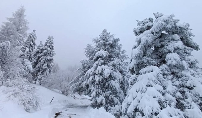 Maltempo in Oltrepò Pavese, fino a mezzo metro di neve in Alta Valle Staffora