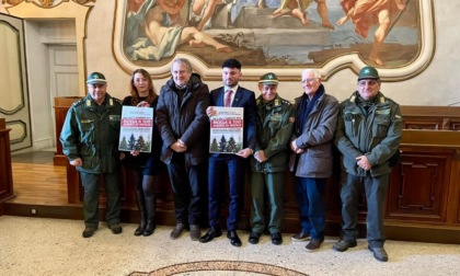 Nuova vita per gli Alberi di Natale, a Pavia saranno ripiantumati per liberare ossigeno