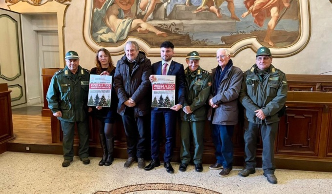 Nuova vita per gli Alberi di Natale, a Pavia saranno ripiantumati per liberare ossigeno