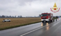 Auto esce di strada dopo l'urto con un animale selvatico, due feriti