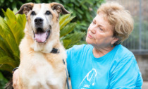 “Adotta un Nonno” l'iniziativa per l’adozione di cani e gatti anziani dai rifugi