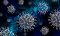 "InFlaMe", al via il progetto per combattere le minacce epidemiche e pandemiche dei flavivirus