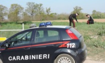 Rubano una borsa da un'auto, beccati in un campo mentre bruciano i documenti della vittima