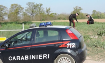 Rubano una borsa da un'auto, beccati in un campo mentre bruciano i documenti della vittima