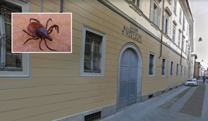 Zecche al liceo Tamarelli di Pavia, studenti a lezione in università