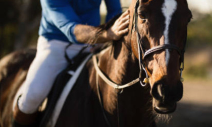 Cade da cavallo nell'Oltrepò Pavese, 71enne portato via in eliambulanza