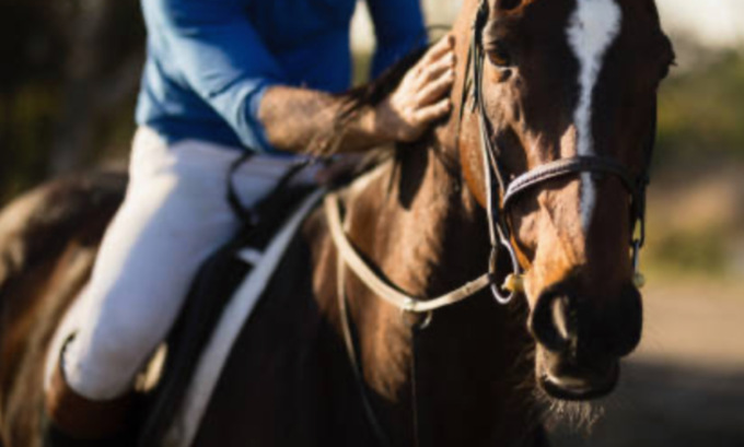 Cade da cavallo nell’Oltrepò Pavese, 71enne portato via in eliambulanza