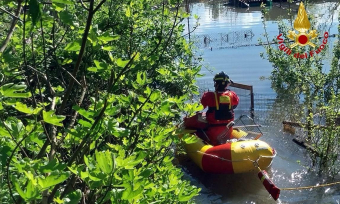 Cane bloccato nel Ticino esondato, salvato dai pompieri