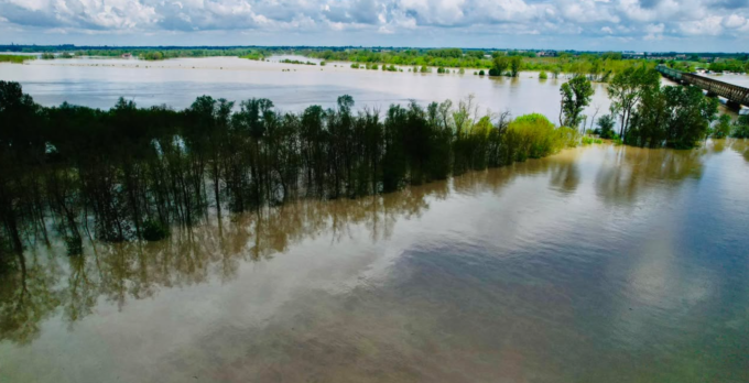 Il Po allaga le golene: paesaggi sommersi dall’acqua tra magia e preoccupazione