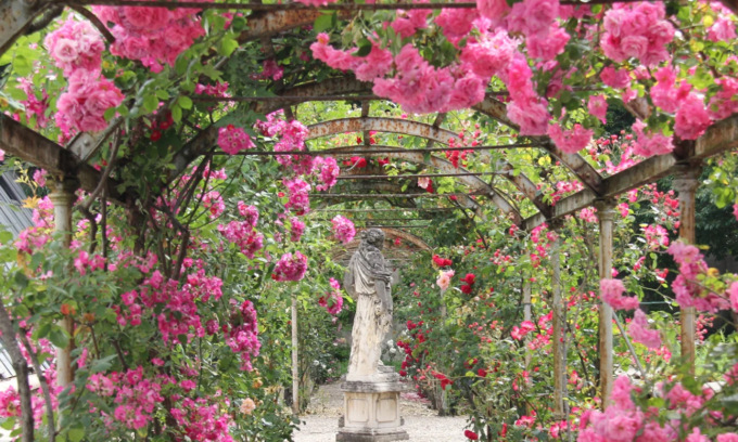 Cosa fare a Pavia e provincia: gli eventi del weekend (3 – 4 maggio 2025)