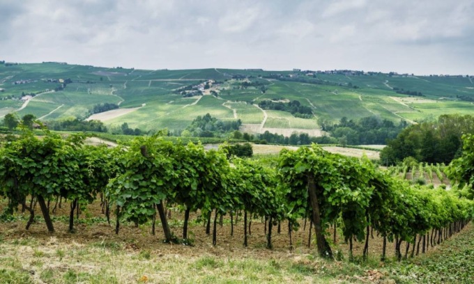 “Valversa da vivere”: stand enogastronomici, degustazioni, musica dal vivo e DJ set