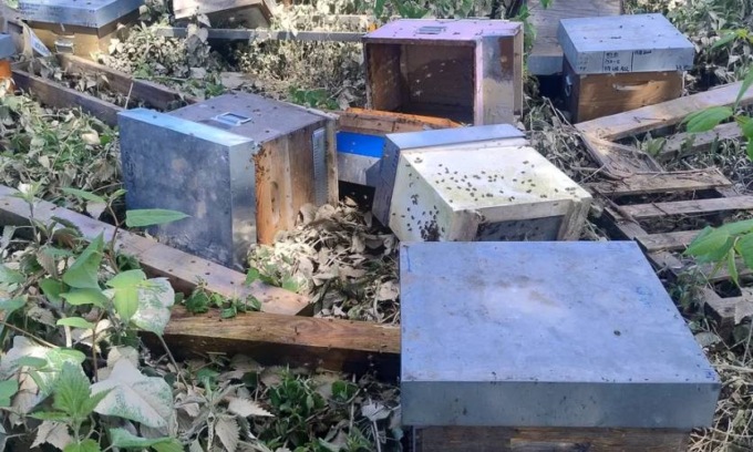 Apiario spazzato via dalla piena del Sesia: “Chiedo aiuto per ricominciare e difendere la biodiversità”