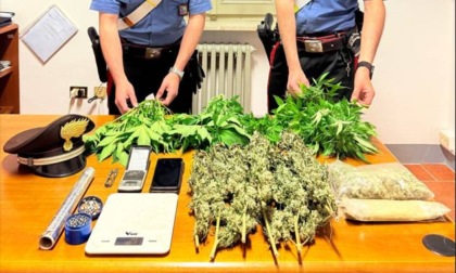 In camera da letto una serra artigianale per la produzione di marijuana