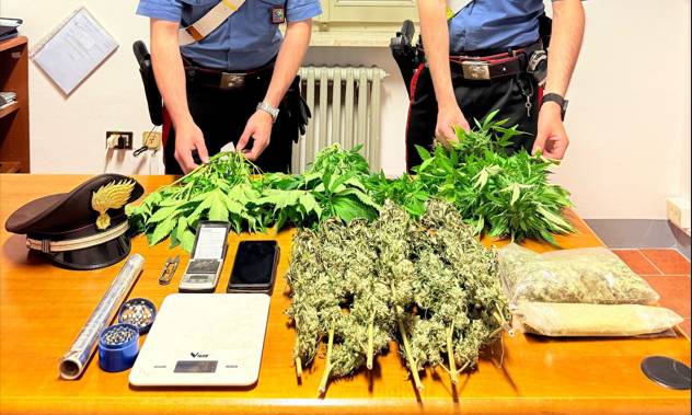 In camera da letto una serra artigianale per la produzione di marijuana
