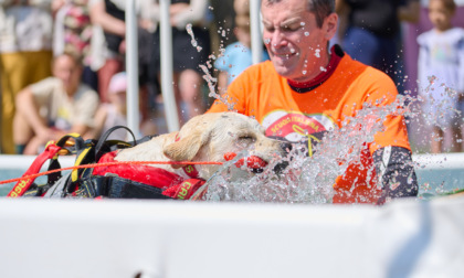 "PET in Fiera" torna a Pavia il 17 e 18 maggio, due giorni di emozioni a quattro zampe