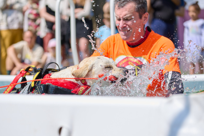 “PET in Fiera” torna a Pavia il 17 e 18 maggio, due giorni di emozioni a quattro zampe