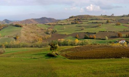 "The Guardian" esalta l'Oltrepò Pavese, Fontana: "Tanta bellezza e autenticità meritano attenzione e valorizzazione"