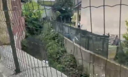 Garlasco: si cerca l'arma del delitto a Tromello, in corso lo svuotamento di un canale