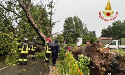 Maltempo nel Pavese: forte vento e pioggia torrenziale causano allagamenti e alberi caduti