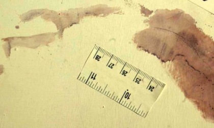 La Procura di Pavia: "L’impronta "33" appartiene ad Andrea Sempio"
