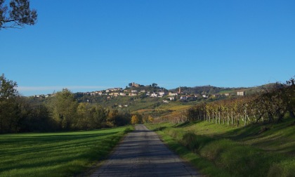 Dall’Olanda a Mornico Losana: il reality "Chateau Meiland" accende i riflettori sull’Oltrepò Pavese