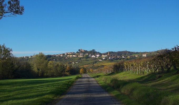 Dall’Olanda a Mornico Losana: il reality “Chateau Meiland” accende i riflettori sull’Oltrepò Pavese
